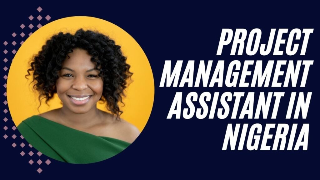 Role of a Project Management Assistant in Nigeria